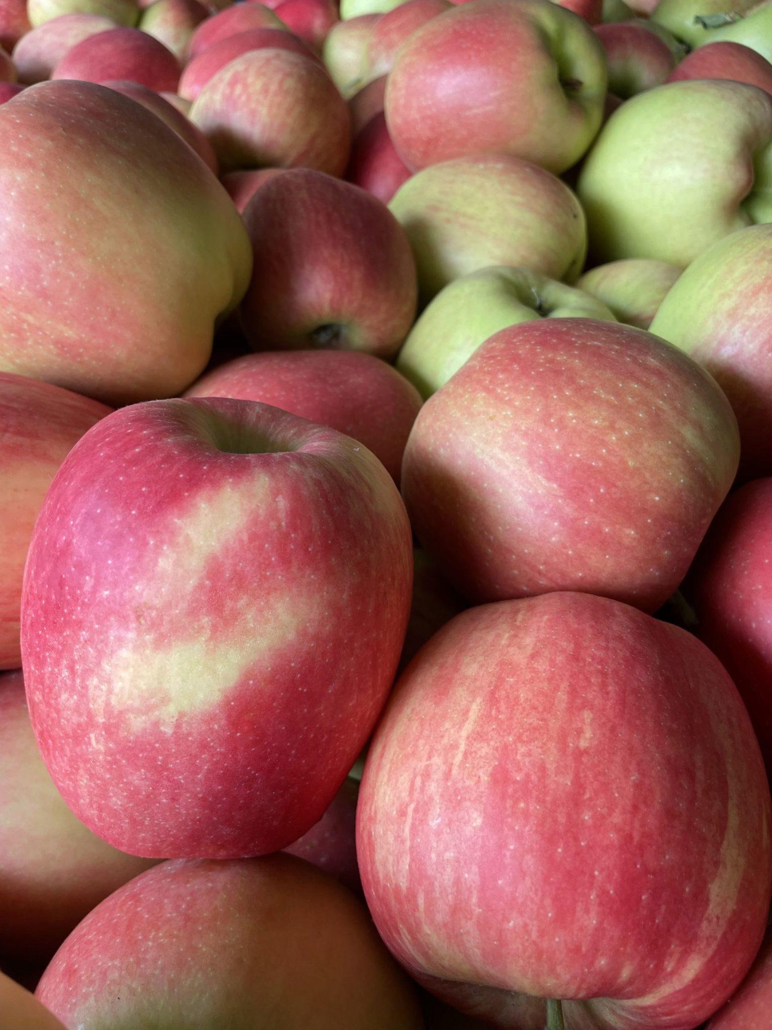 Unser Obst – Obsthof Küpper